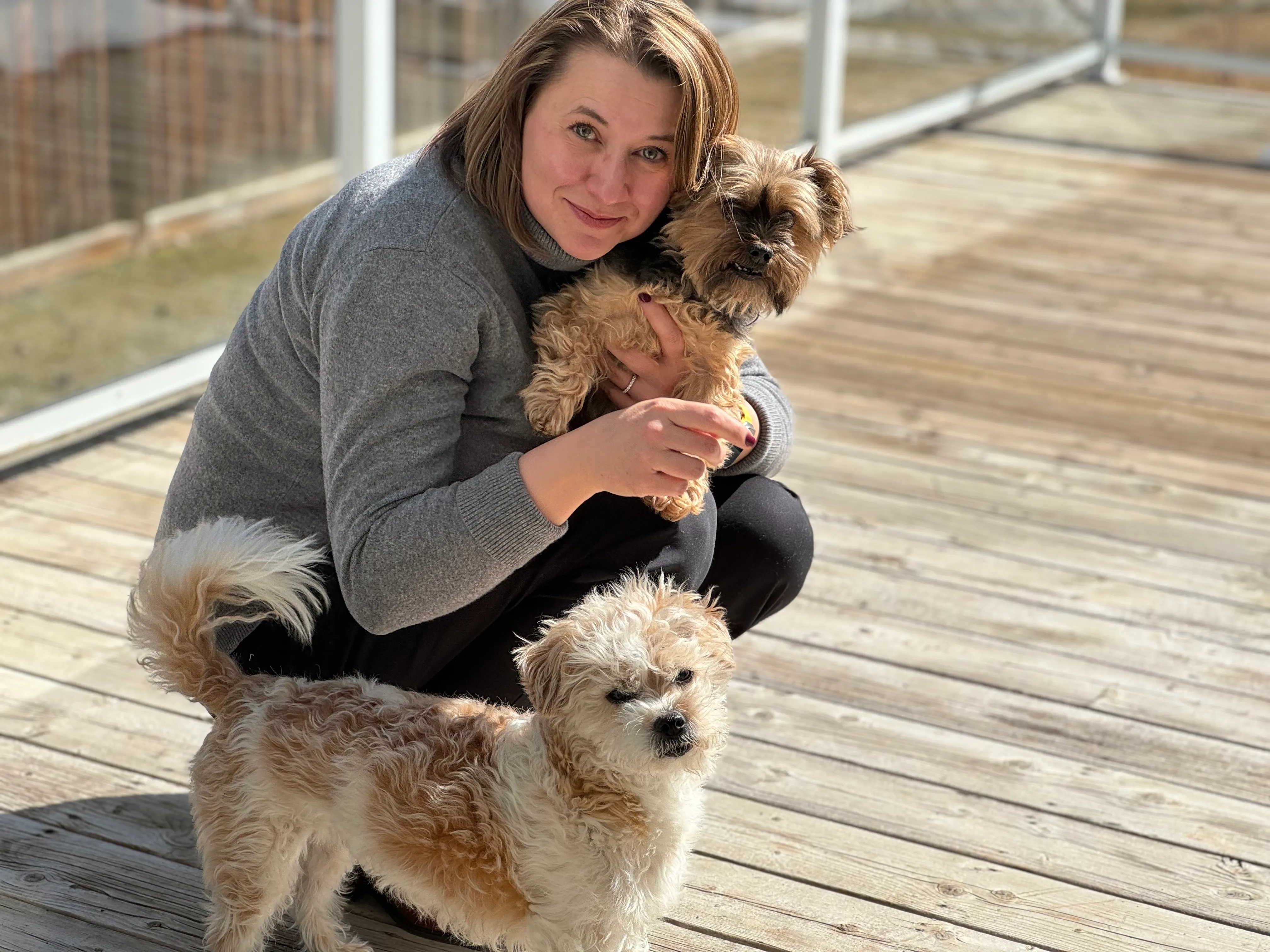 Dog sitting during home showings